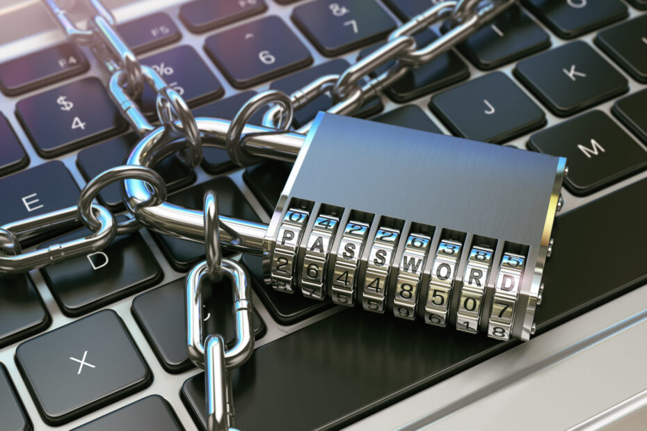 Nutzung privater IT im Unternehmen - Bring your own device (BYOD)